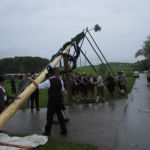 Maibaum15 (33).JPG