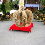 Bauernhi13 00008.JPG