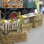 IMG_5223.JPG