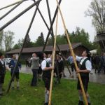 Maibaum15 (31).JPG