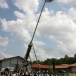 Maibaum14 00011.JPG