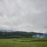 gau-23-07-16-09-16-47.jpg
