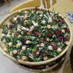 k-DSC04821.JPG