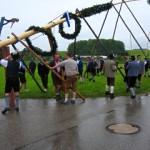 Maibaum15 (34).JPG